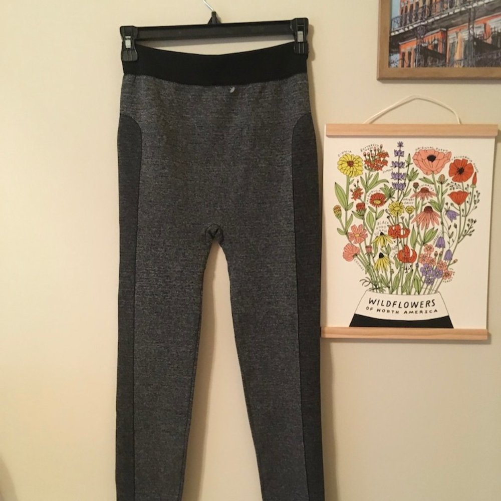 Riding Pants